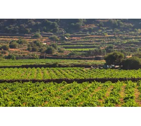 enotour in sicilia