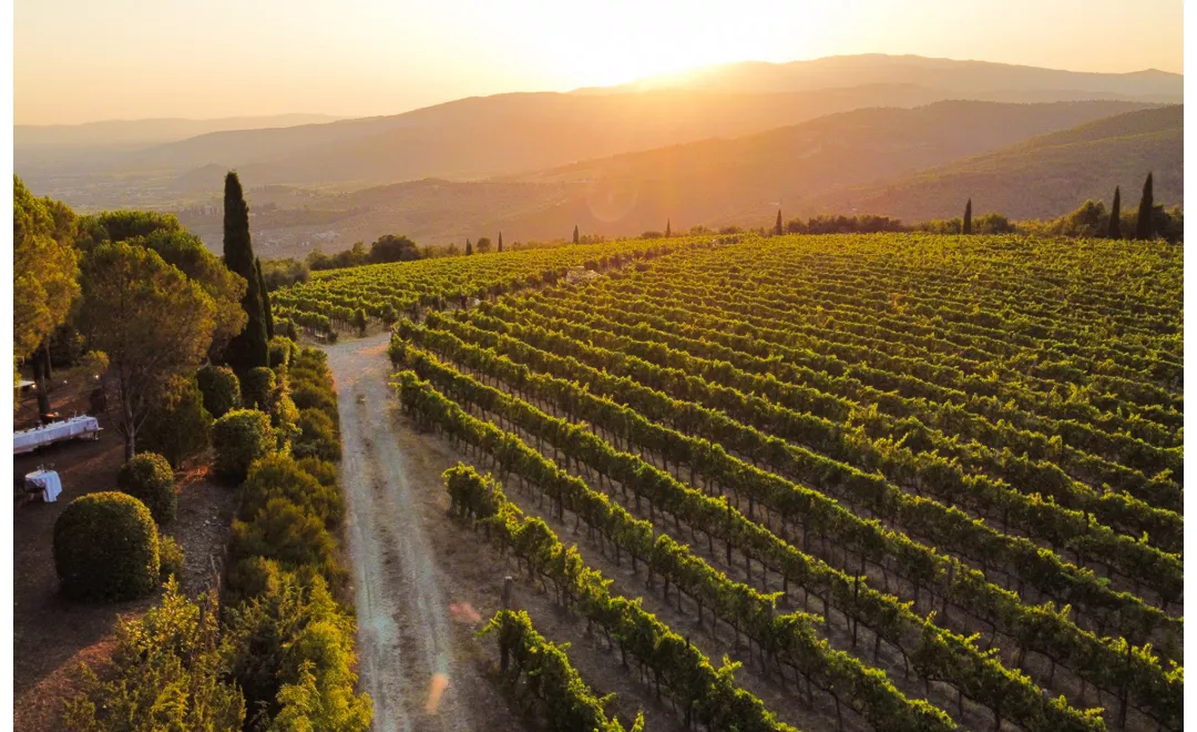 toscana enotour 