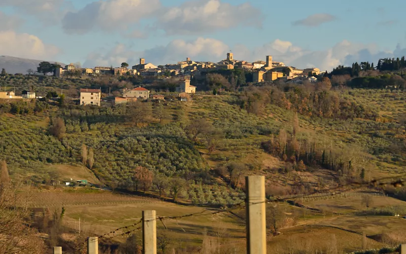Enotour in Umbria