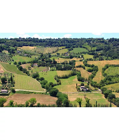 Enotour in Umbria