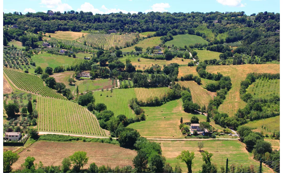 Enotour in Umbria