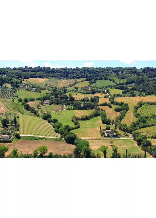 Enotour in Umbria