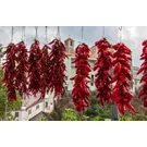festival peperoncino