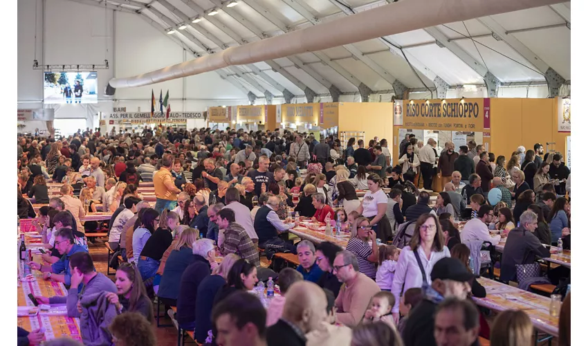 fiera del riso