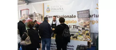 fiera-tartufo-bianco-pergola-3
