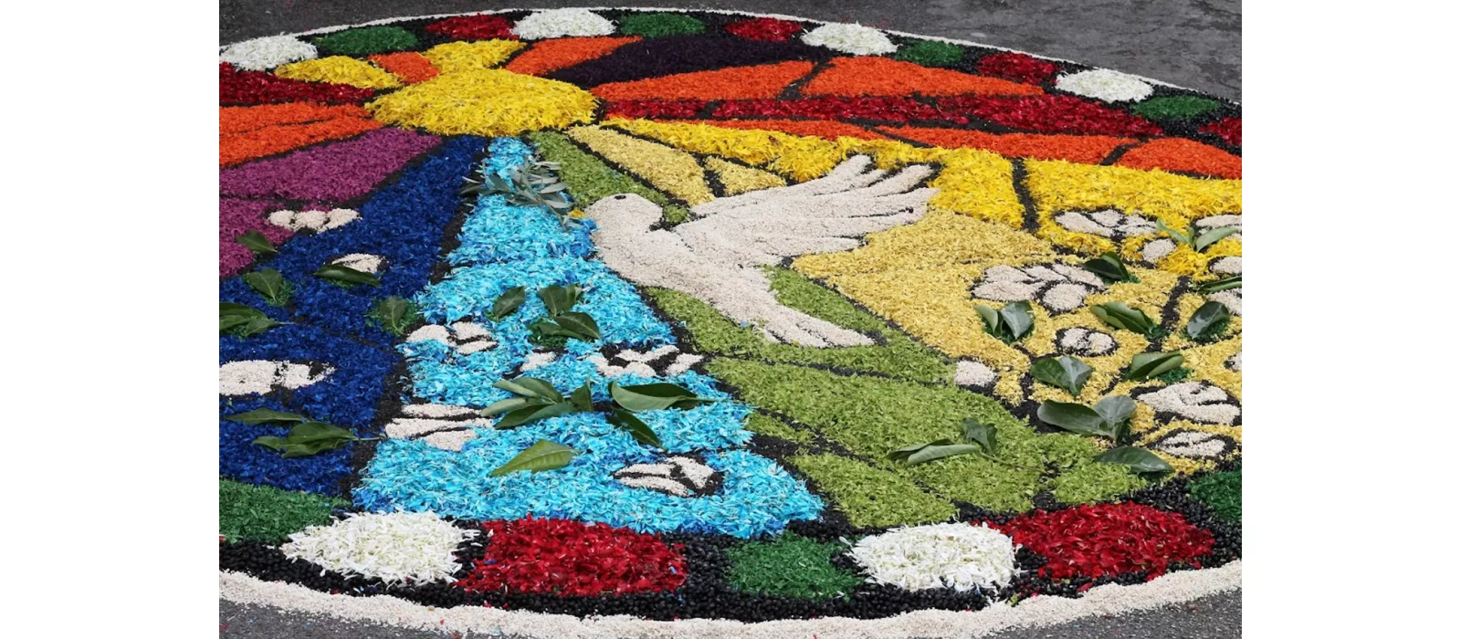 Infiorata Corpus Domini 2023 Castelraimondo