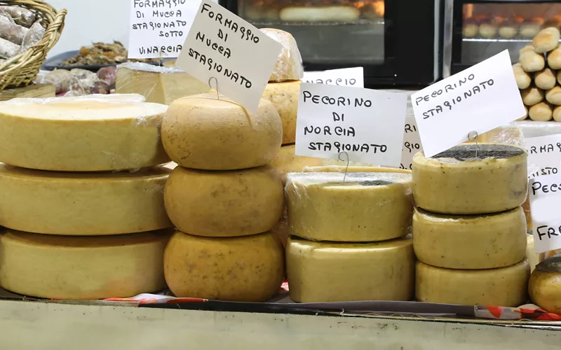 Alternativen auf dem Trockenen