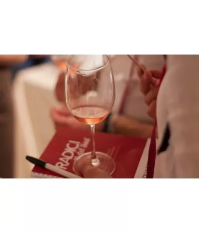radici del sud 2023