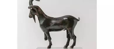 roma archeologica