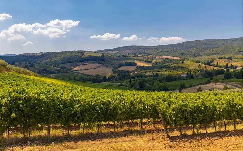 enotour toscana