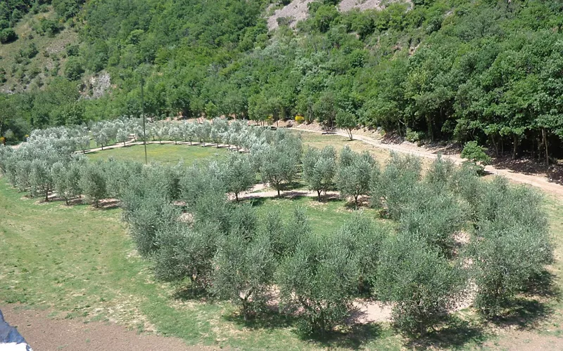 Monuments sacrés et environnement protégé