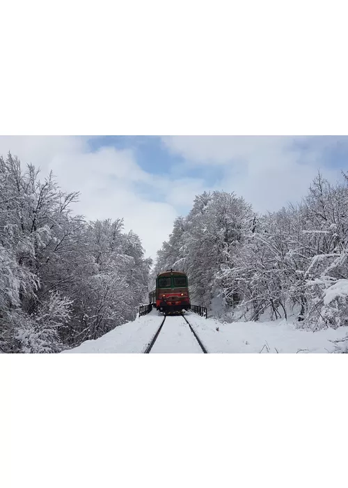 Chemin de fer des parcs