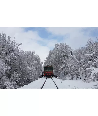 Ferrocarril de los Parques