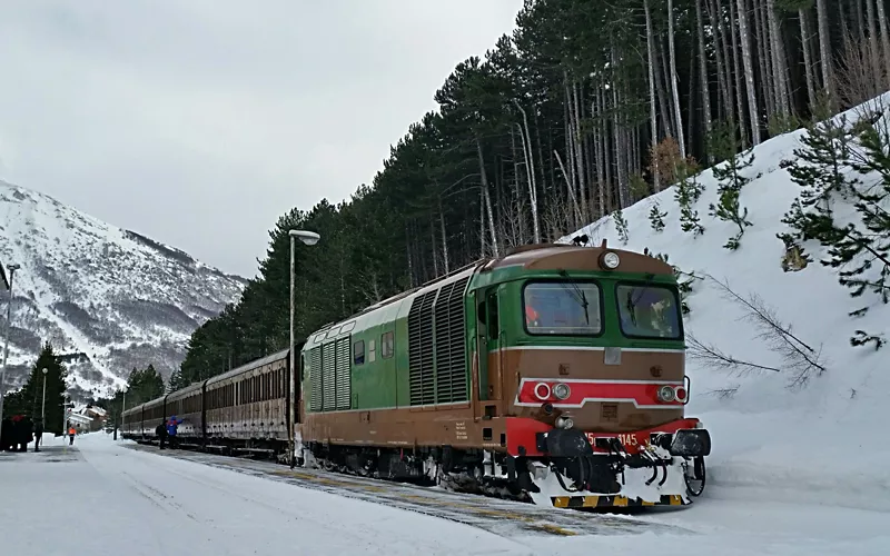 Turismo: asistencia récord