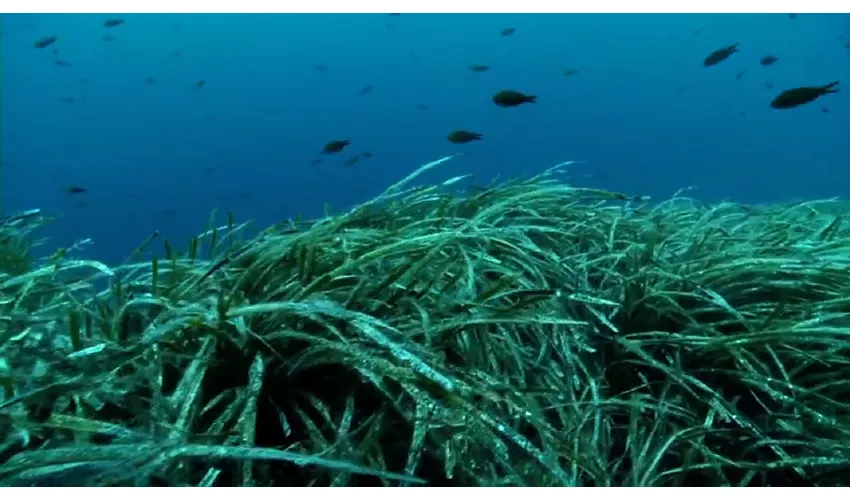 Riserva Naturale di Capo Gallo