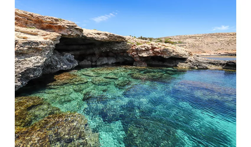 Area Marina Protetta "Isole Pelagie"