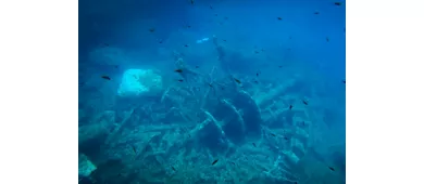 Riserva naturale marina Isole Tremiti