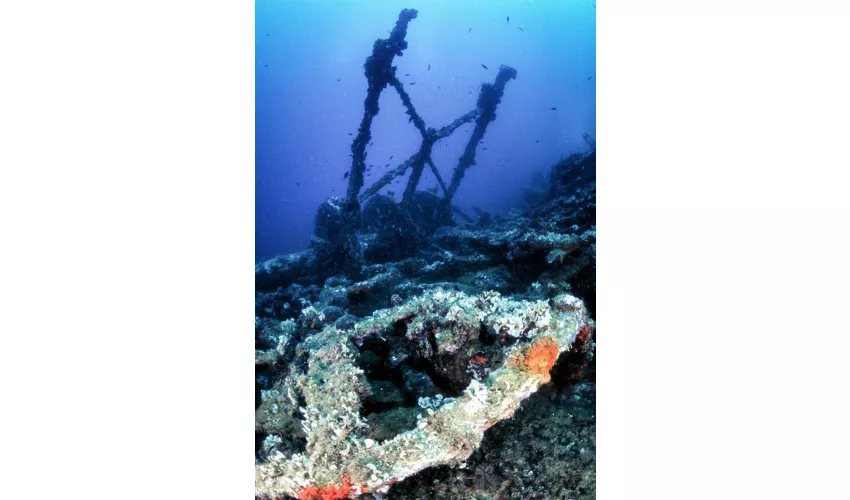 Riserva naturale marina Isole Tremiti