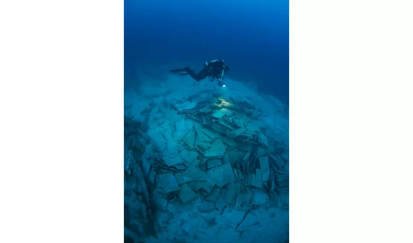 Riserva naturale marina Isole Tremiti