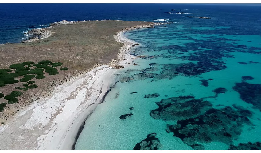 Area Marina Protetta "Penisola del Sinis-Isola di Mal di Ventre"