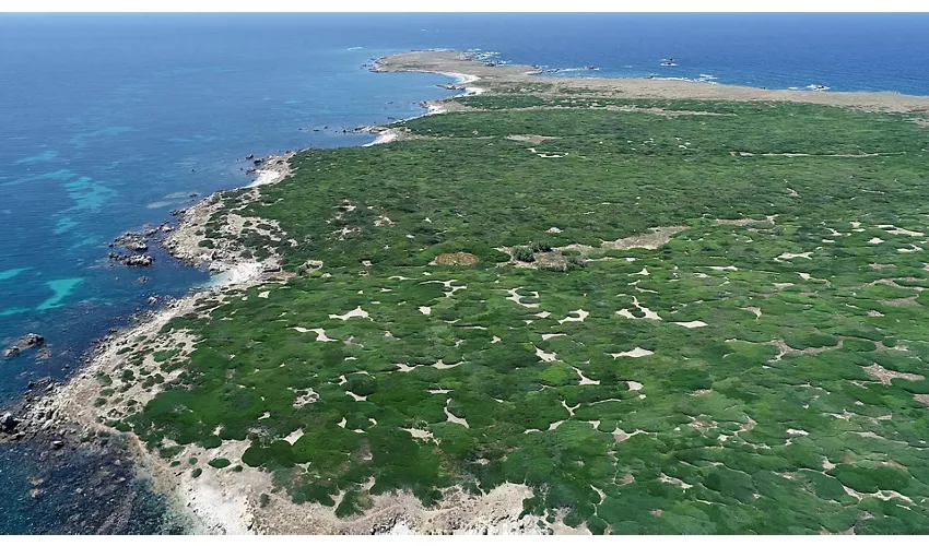 Area Marina Protetta "Penisola del Sinis-Isola di Mal di Ventre"
