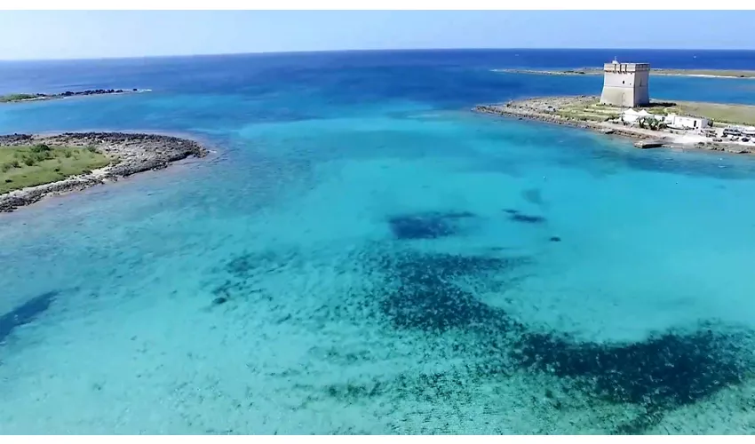 Area Marina Protetta Porto Cesareo
