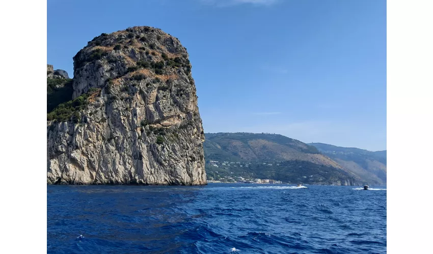 Area marina protetta Punta Campanella