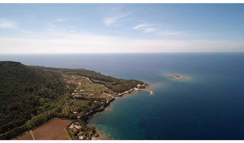 Area marina protetta Santa Maria di Castellabate