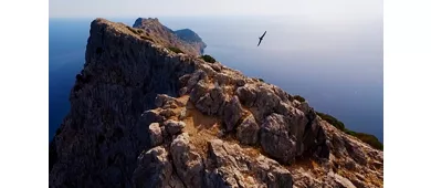 Area Marina Protetta di Tavolara Punta Coda Cavallo
