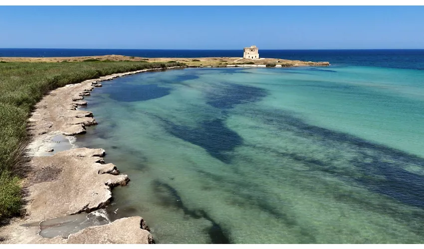 Area Marina Protetta Torre Guaceto