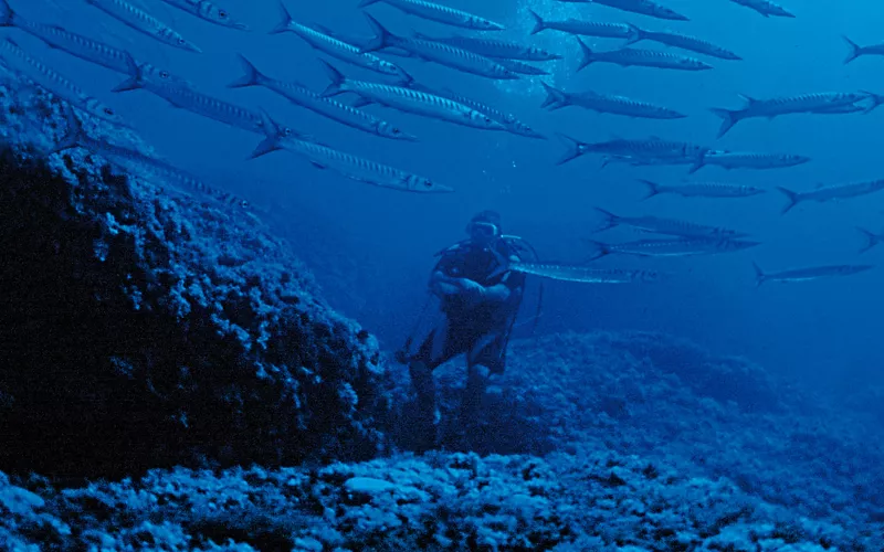 Das lapidare Schiff von Cala Cicala