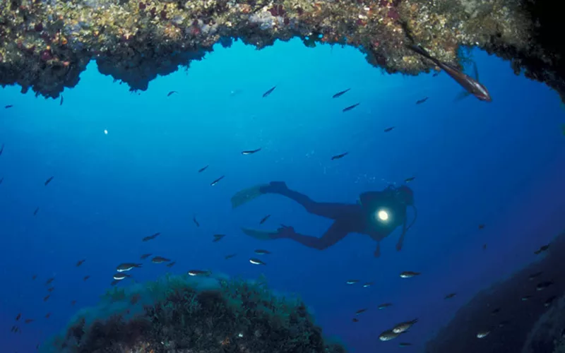 Das Wrack von Capo Mulini. 400 Amphoren auf dem Meeresboden von Catania