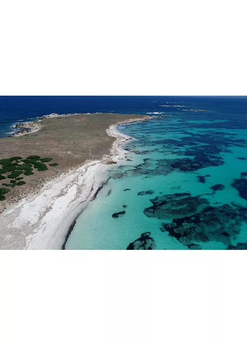 Aerei sul fondo. Un patrimonio da proteggere