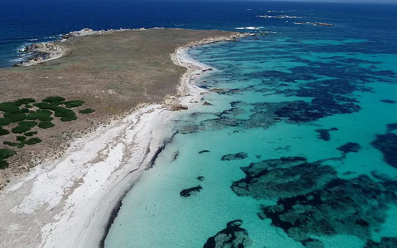 Mal di Ventre: tausend Bleibarren für Rom