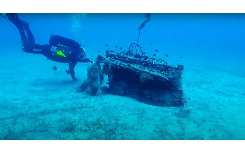 Der Falke von Tavolara