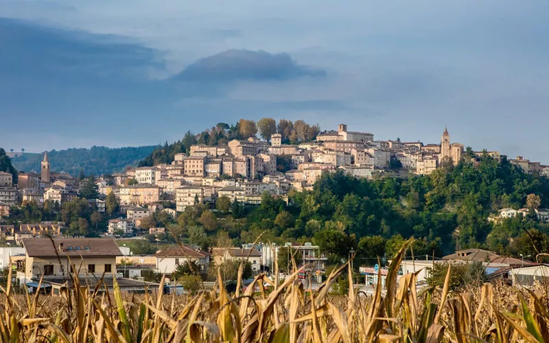 Come vivere le Marche "da bere"