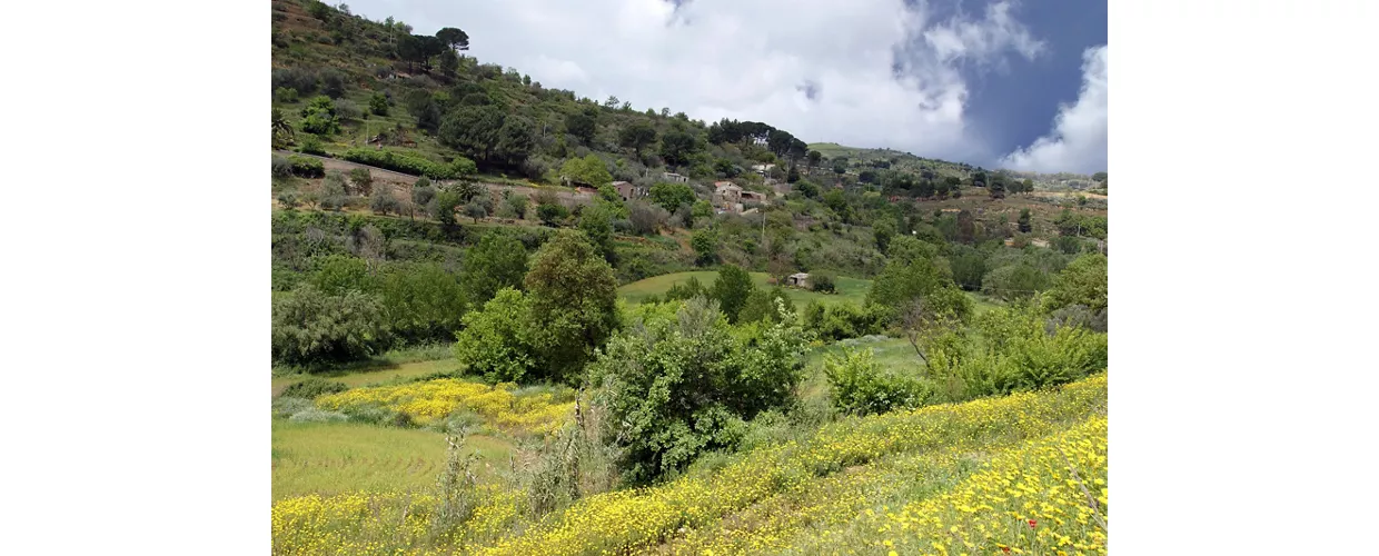 Passopisciaro