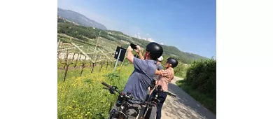 Viñedos de Valpolicella: Tour en bicicleta eléctrica con cata de vinos