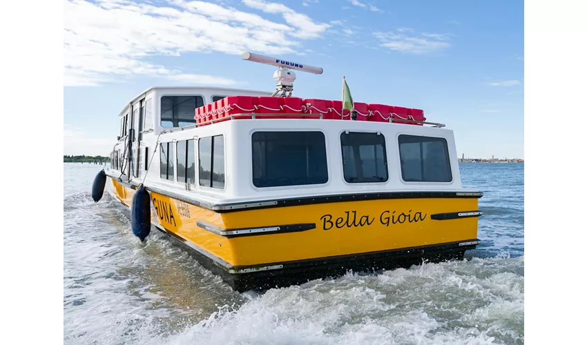 Venice: Alilaguna Boat Transfer to/from Marco Polo Airport and Venice