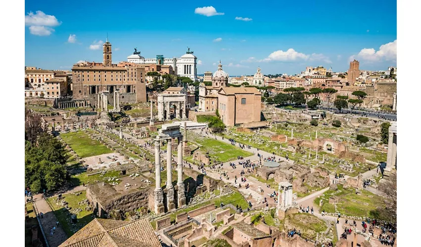 Colosseo, Foro Romano e Palatino + Tour guidato semi-privato in inglese