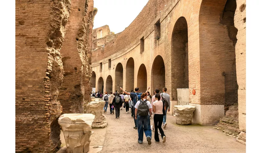 Colosseo, Foro Romano e Palatino + Tour guidato