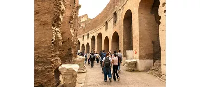 Colosseum, Roman Forum & Palatine Hill + Guided Tour