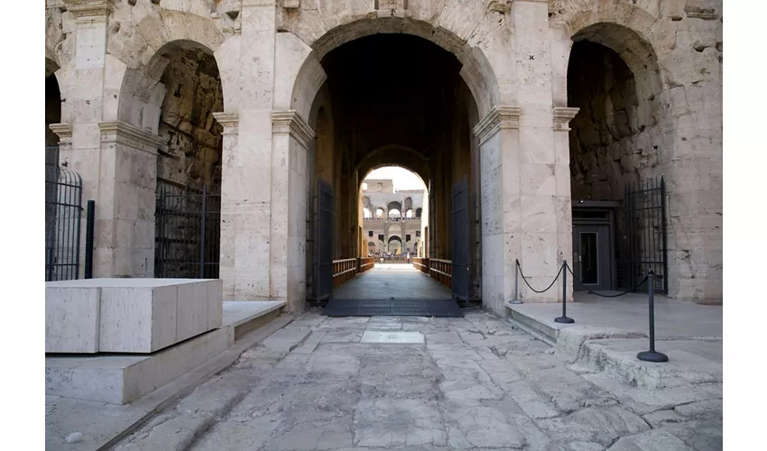 Colosseum, Arena, Roman Forum & Palatine Hill + Guided Tour
