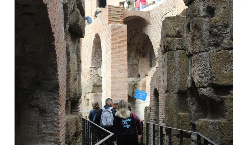 Colosseum, Arena, Underground, Forum & Palatine Hill + Guided Tour