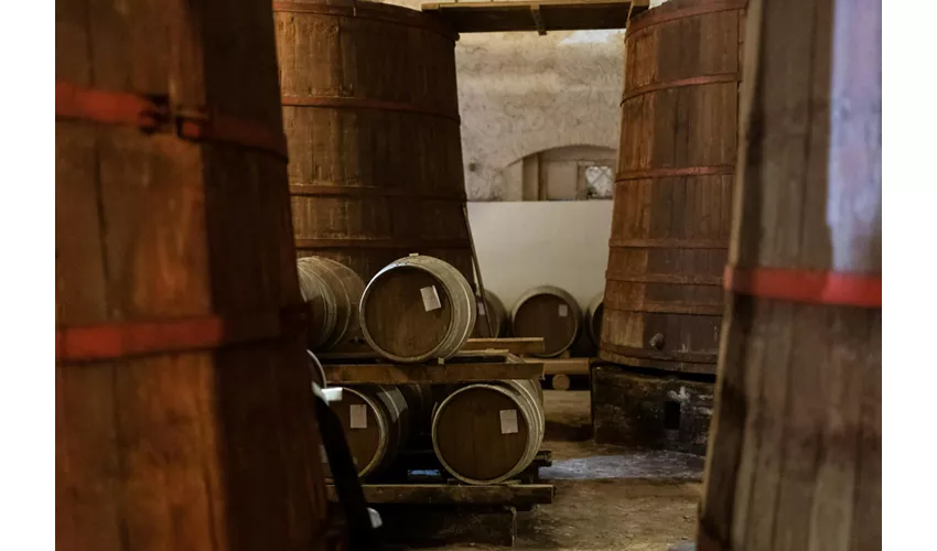 Safari Grand Tour und Verkostung