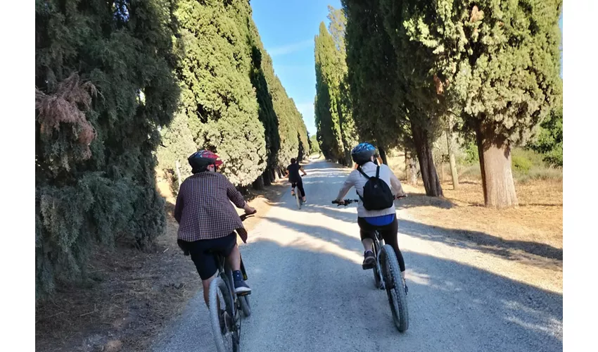 Via Appia: Tour in E-Bike fuori dai sentieri battuti + Catacombe + Cibo