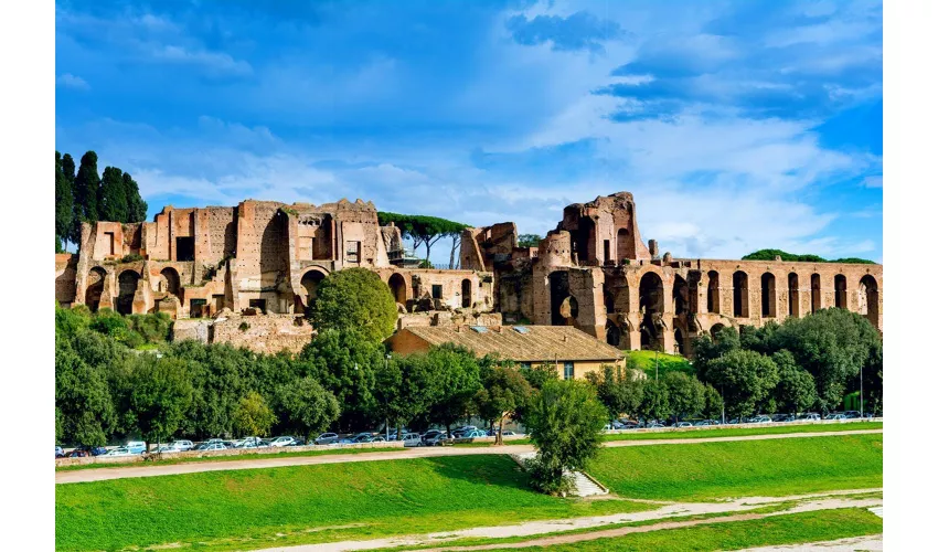 Colosseum, Roman Forum & Palatine Hill + Digital Audio Guide App