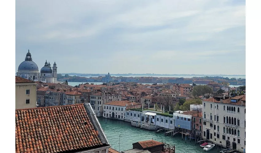 Palazzo Pisani: Venice's Highest Rooftop Terrace