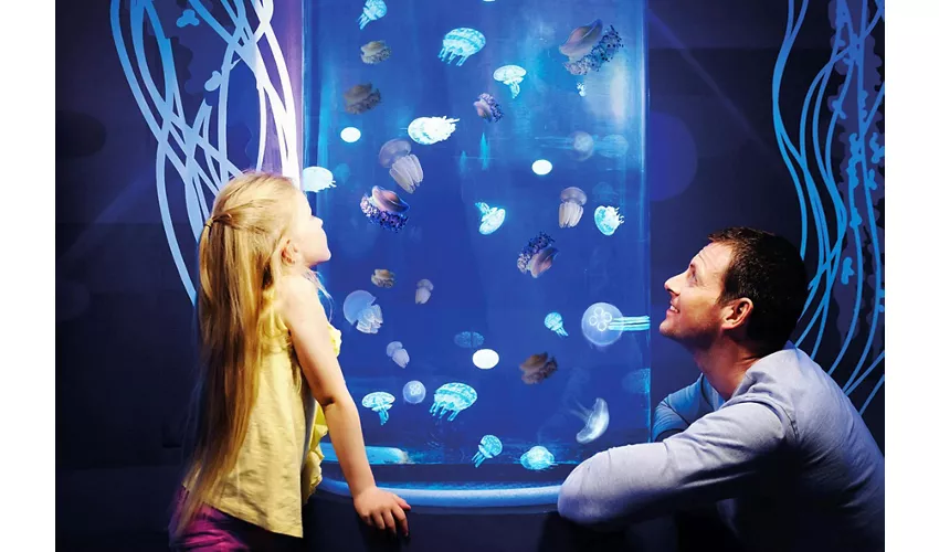 Gardaland SEA LIFE Aquarium: Entrada