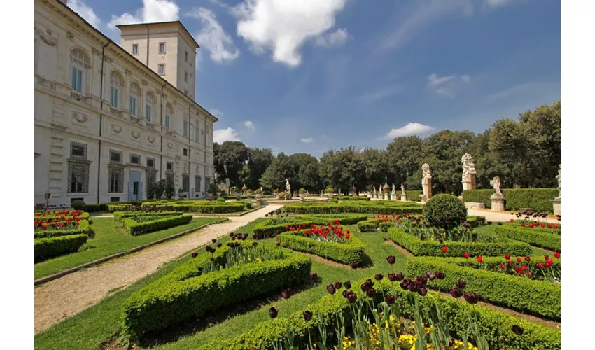 Galleria Borghese: Tour guidato semiprivato